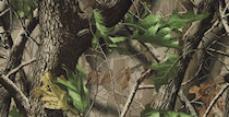 Promotional Hardwoods Green